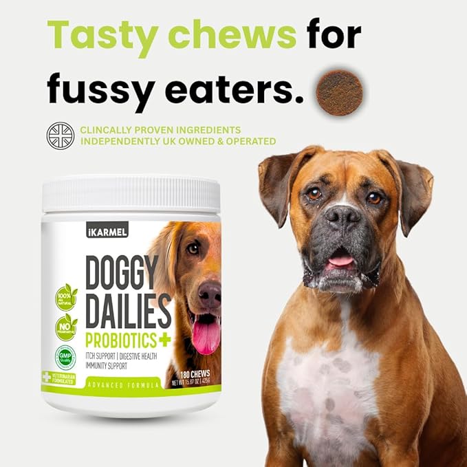 iKARMEL Doggy Dailies Probiotics for Dogs | Canine Supplements for Digestive and Immunity Support | Skin Health and Itch Relief | Vitamin Treats for Dogs | Probiotic (90 Chews)