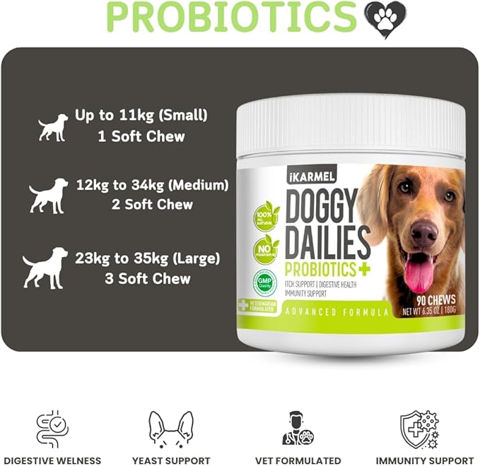 iKARMEL Doggy Dailies Probiotics for Dogs | Canine Supplements for Digestive and Immunity Support | Skin Health and Itch Relief | Vitamin Treats for Dogs | Probiotic (90 Chews)