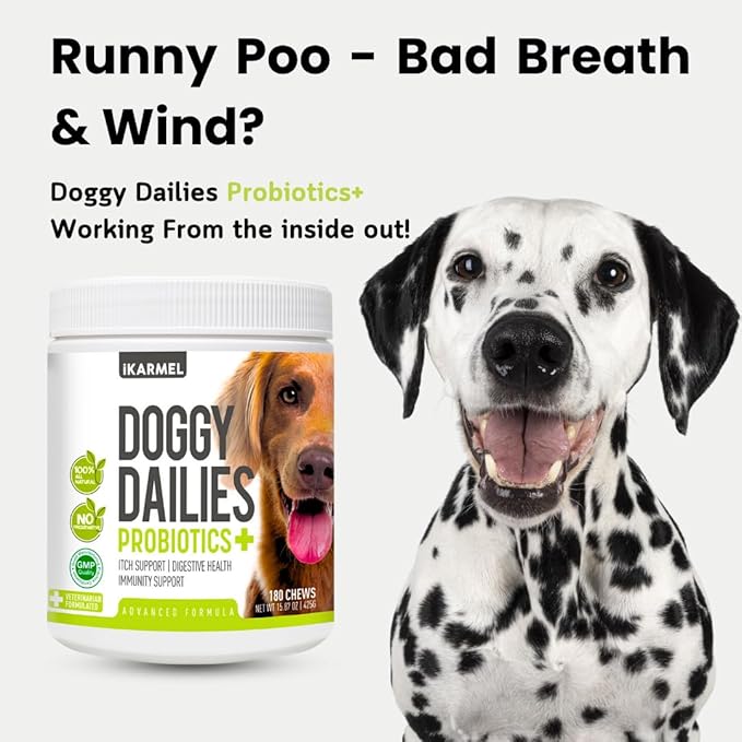 iKARMEL Doggy Dailies Probiotics for Dogs | Canine Supplements for Digestive and Immunity Support | Skin Health and Itch Relief | Vitamin Treats for Dogs | Probiotic (90 Chews)
