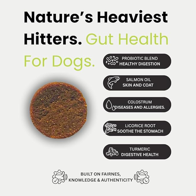 iKARMEL Doggy Dailies Probiotics for Dogs | Canine Supplements for Digestive and Immunity Support | Skin Health and Itch Relief | Vitamin Treats for Dogs | Probiotic (90 Chews)