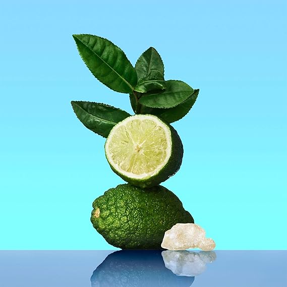 CALVIN KLEIN CK One - Unisex Eau de Toilette for All - Citrus & Aromatic Fragrance with Notes of Green Tea, Nutmeg and Musk - Medium Longevity - 100ml