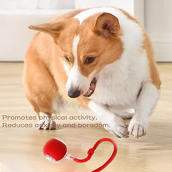 YCYATS Interactive Rolling Ball for Dogs with Tail, Chase Mate Cat Toy, Electric Smart Automatic Rolling Pet Ball, Durable and Safe, Reduces Anxiety and Boredom (Red)