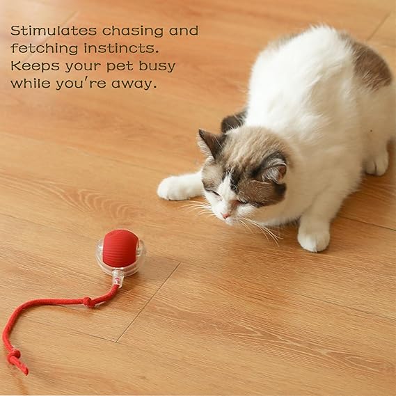 YCYATS Interactive Rolling Ball for Dogs with Tail, Chase Mate Cat Toy, Electric Smart Automatic Rolling Pet Ball, Durable and Safe, Reduces Anxiety and Boredom (Red)