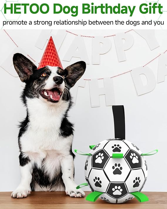 HETOO Interactive Dog Football Toys with Webbing, Durable Dog Water Balls for Small Medium Breed, Indoor & Outdoor (6 Inch)